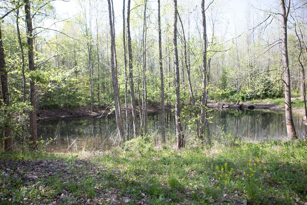 1057 Willette Road Red Boiling Springs, TN 37150 - Photo 27 of 31 a view of lake