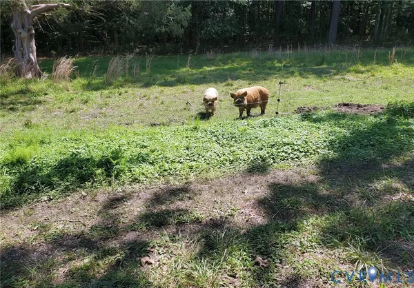 $149,700 | 3066 Bethel Beach Road, Onemo, VA 23130