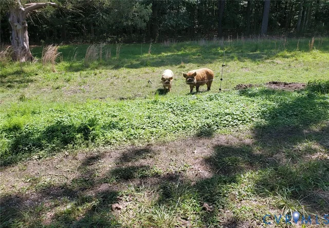 $149,700 | 3066 Bethel Beach Road, Onemo, VA 23130