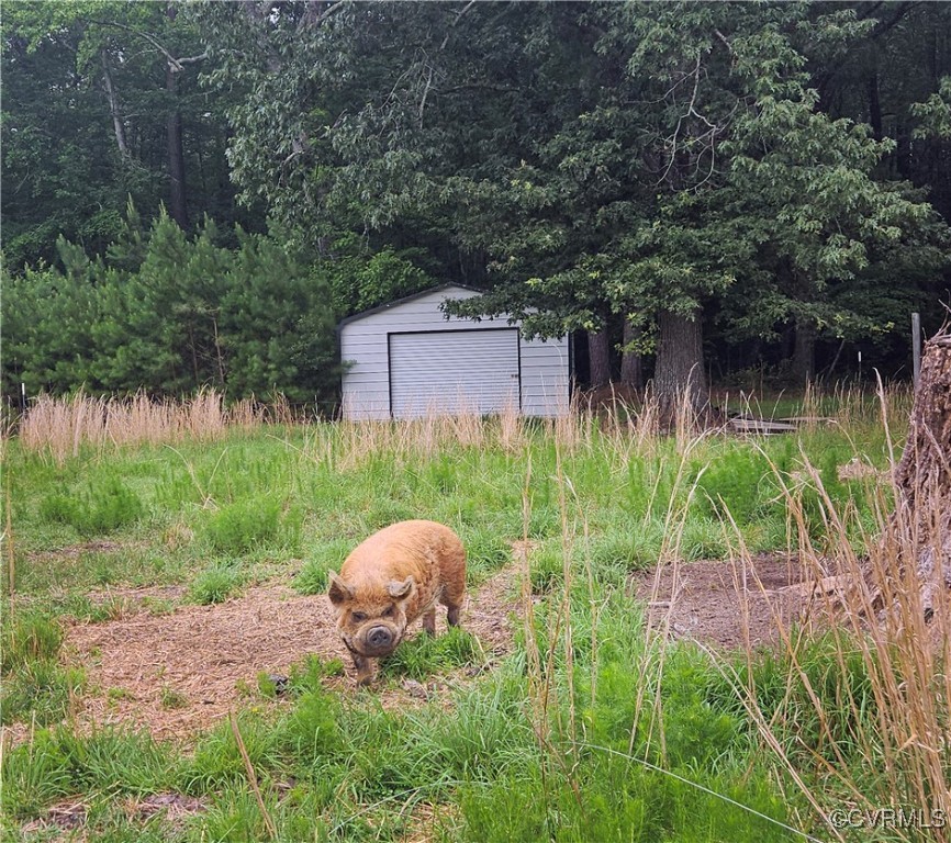 3066 Bethel Beach Road Onemo, VA 23130 - Photo 20 of 45