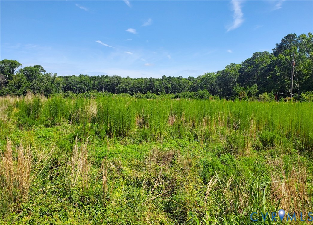3066 Bethel Beach Road Onemo, VA 23130 - Photo 21 of 45