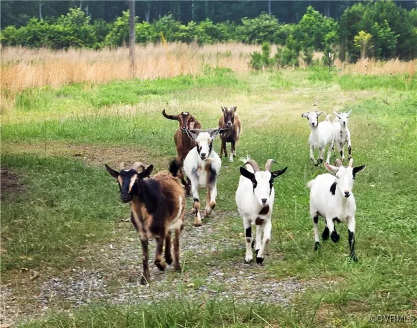 $149,700 | 3066 Bethel Beach Road, Onemo, VA 23130