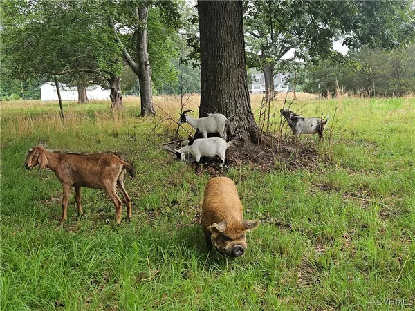 $149,700 | 3066 Bethel Beach Road, Onemo, VA 23130