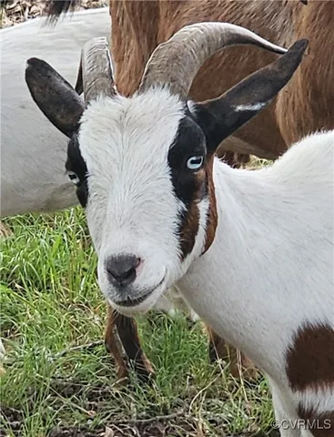 $149,700 | 3066 Bethel Beach Road, Onemo, VA 23130