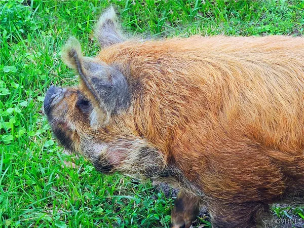 $149,700 | 3066 Bethel Beach Road, Onemo, VA 23130