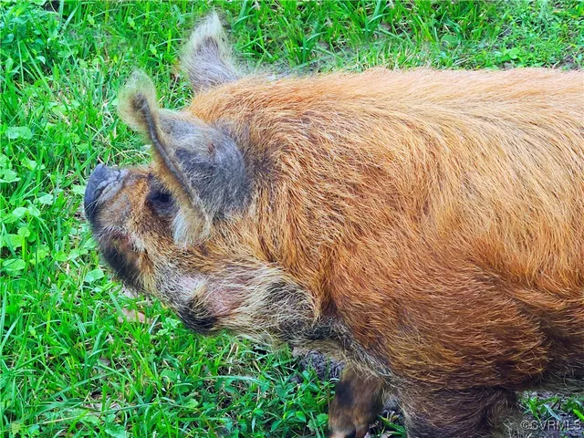 $149,700 | 3066 Bethel Beach Road, Onemo, VA 23130