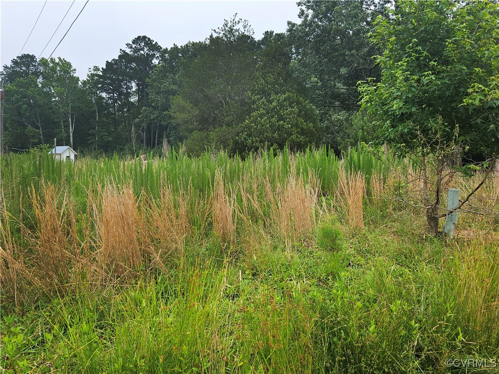 3066 Bethel Beach Road Onemo, VA 23130 - Photo 30 of 45
