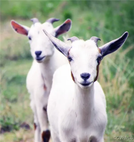 $149,700 | 3066 Bethel Beach Road, Onemo, VA 23130