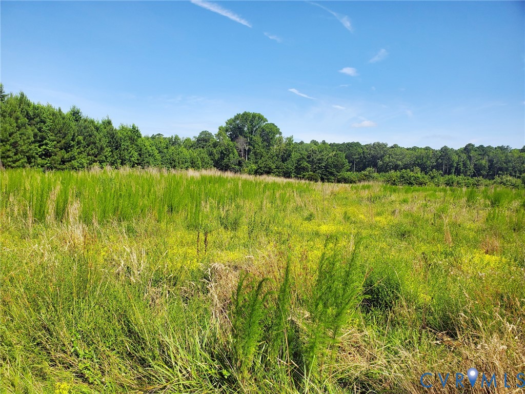 3066 Bethel Beach Road Onemo, VA 23130 - Photo 33 of 45