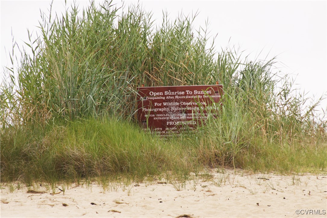 3066 Bethel Beach Road Onemo, VA 23130 - Photo 38 of 45 Bethel Beach Preserve Area