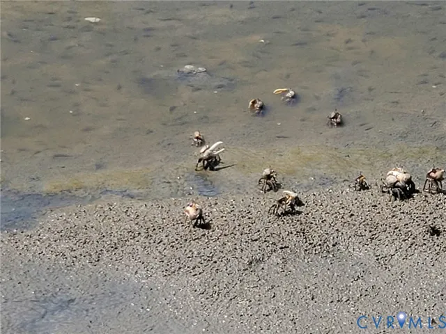 $149,700 | 3066 Bethel Beach Road, Onemo, VA 23130