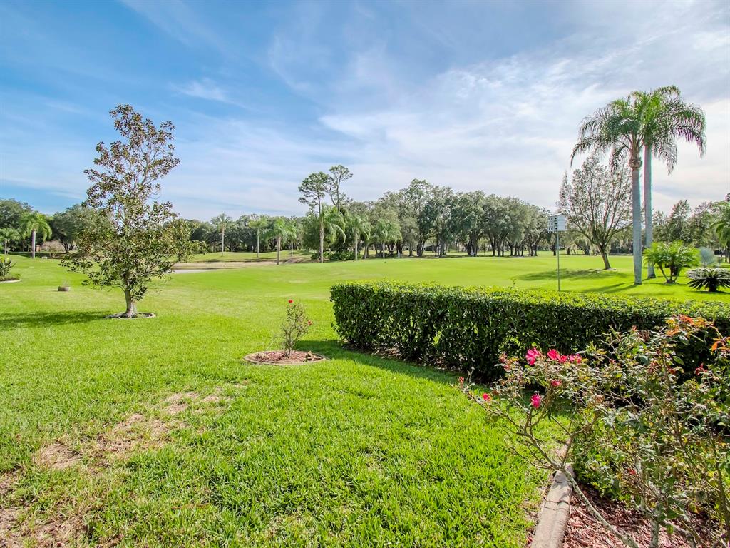 9620 Springmeadow Drive New Port Richey, FL 34655 - Photo 37 of 57 Gallery Image 37