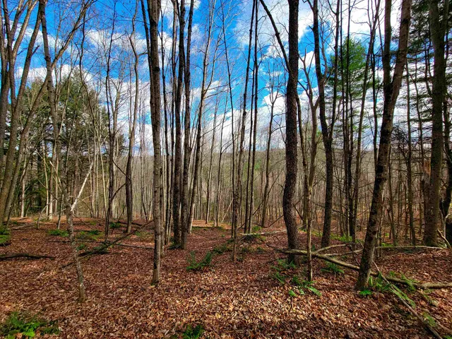 $1,500,000 | 250-566 Community Drive, Randolph, VT 05061