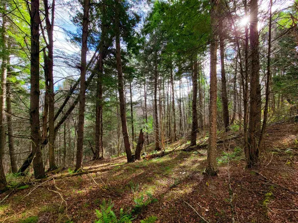 $1,500,000 | 250-566 Community Drive, Randolph, VT 05061