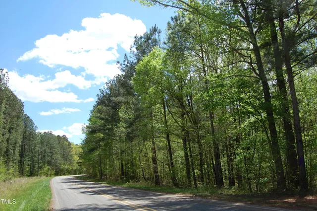 a view of a yard with large trees