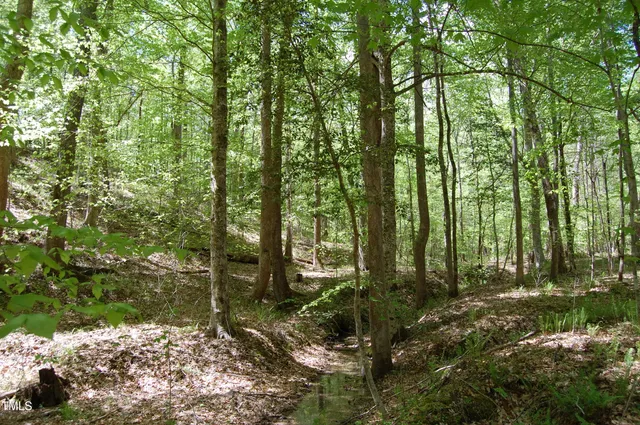a view of outdoor space and trees
