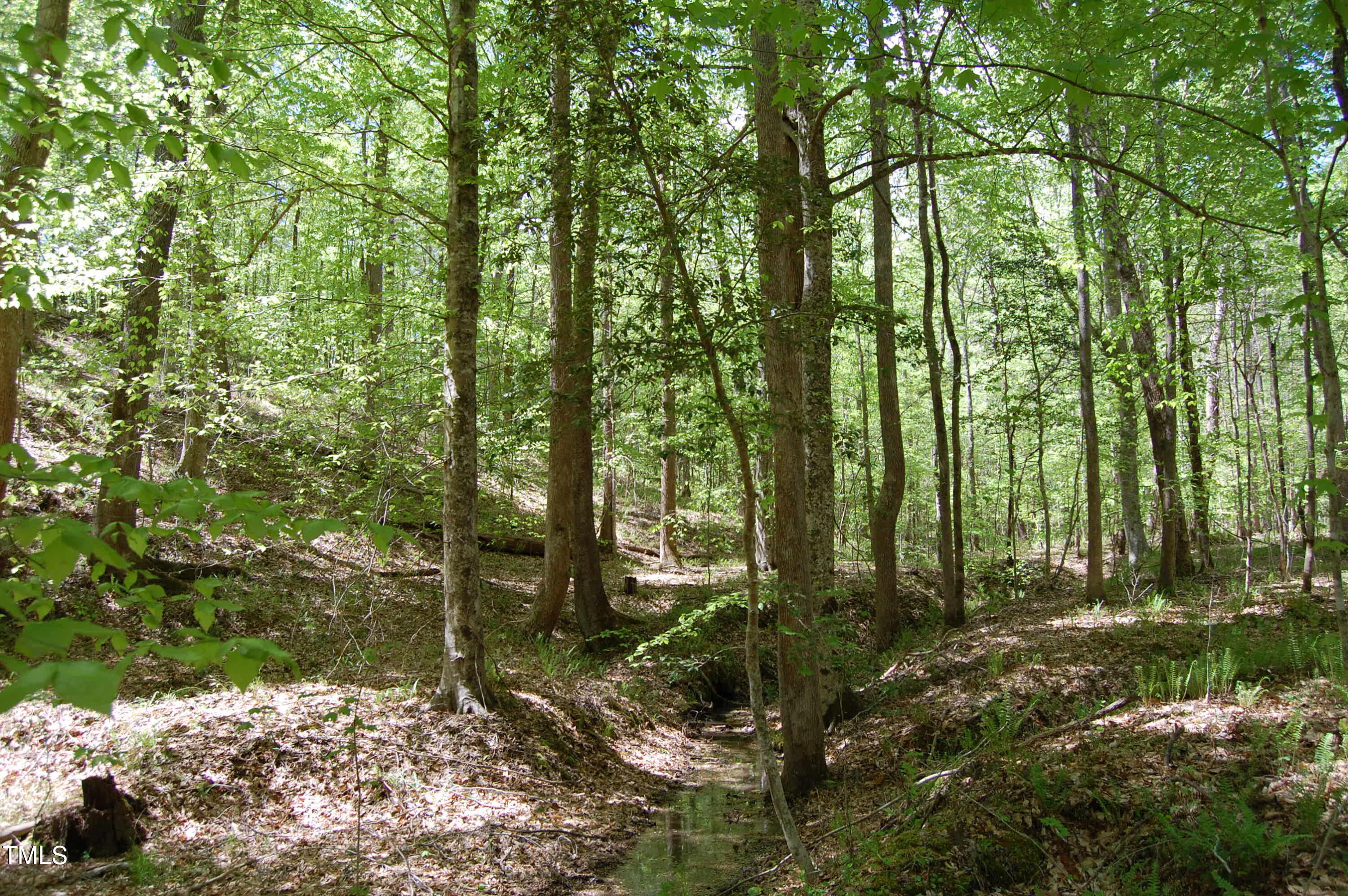 0 Egypt Mountain Road Kittrell, NC 27544 - Photo 11 of 13 a view of outdoor space and trees