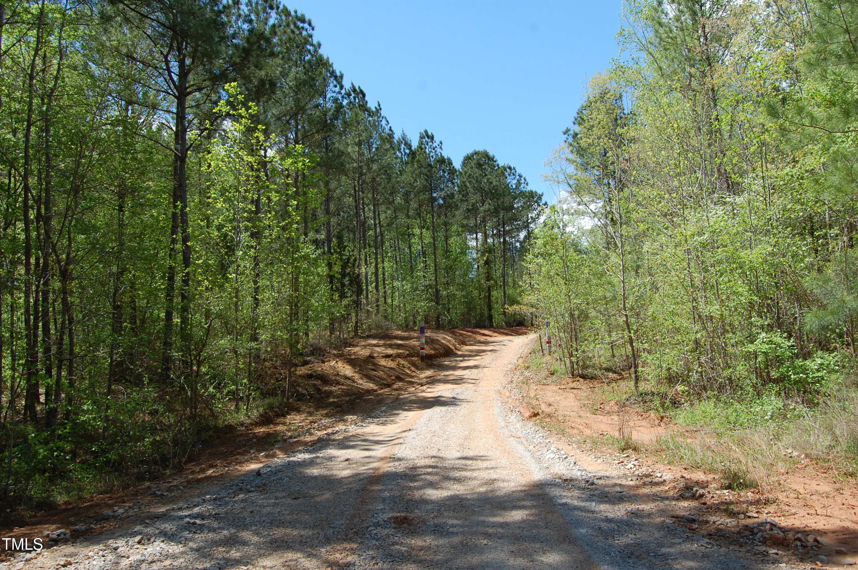 0 Egypt Mountain Road Kittrell, NC 27544 - Photo 3 of 13 a view of a dirt road with trees in the background