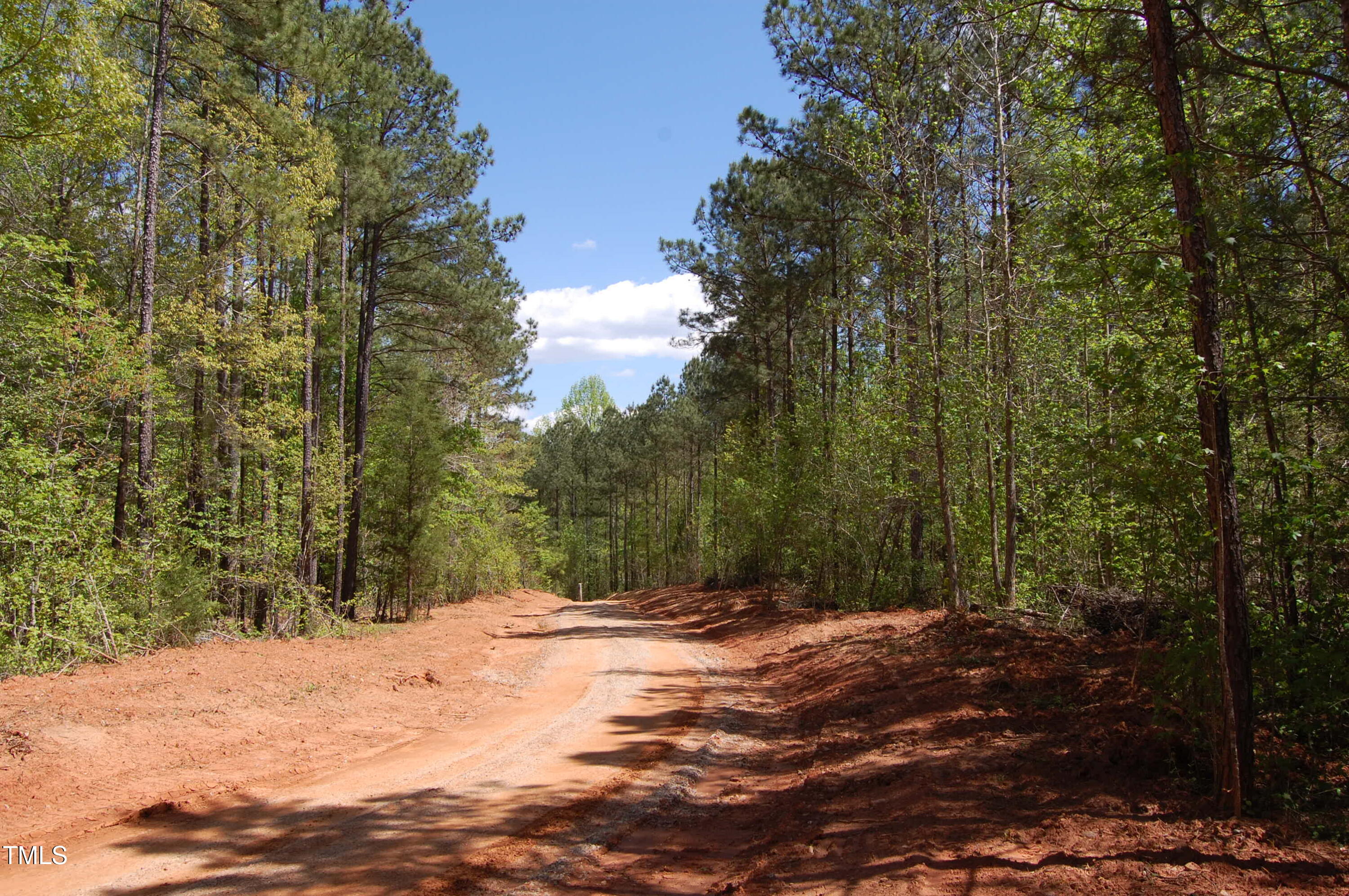 0 Egypt Mountain Road Kittrell, NC 27544 - Photo 4 of 13 a view of a yard with a tree