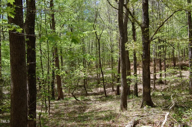 a view of outdoor space and garden