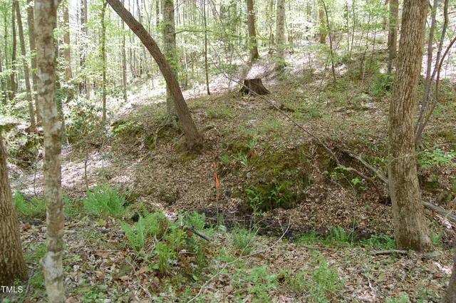 a view of outdoor space and trees