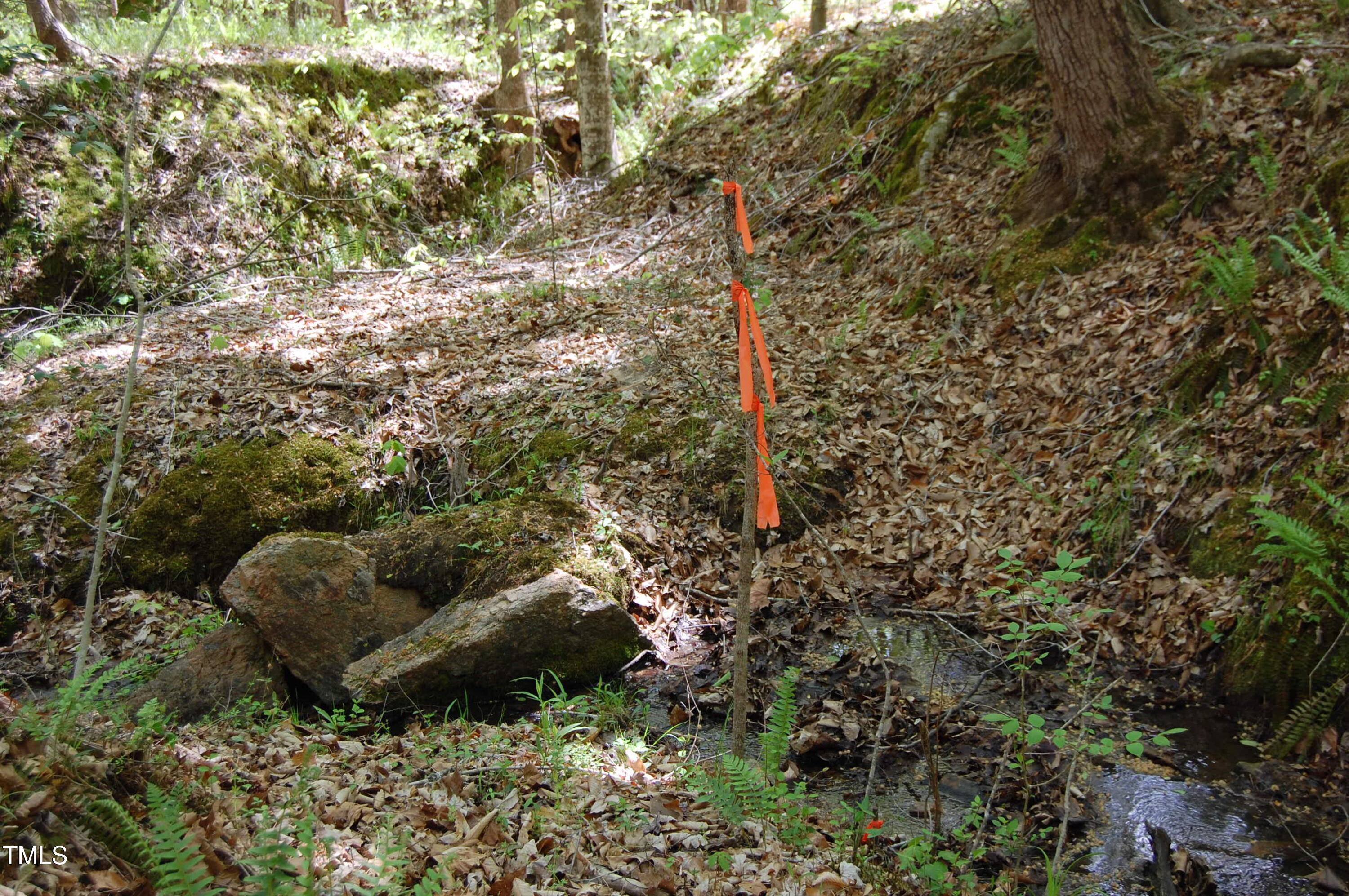 0 Egypt Mountain Road Kittrell, NC 27544 - Photo 9 of 13 a view of a garden with plants