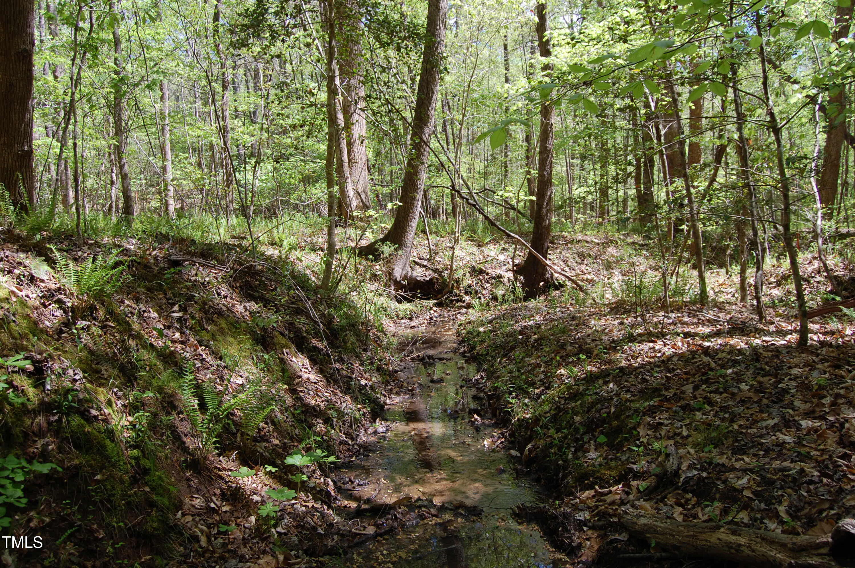 0 Egypt Mountain Road Kittrell, NC 27544 - Photo 10 of 13 a backyard of a house with lots of green space