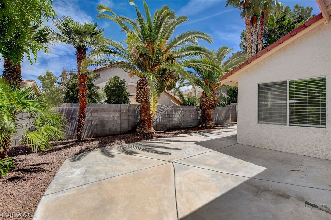 286 Manzanita Ranch Lane Henderson, NV 89012 - Photo 26 of 50 Back Yard