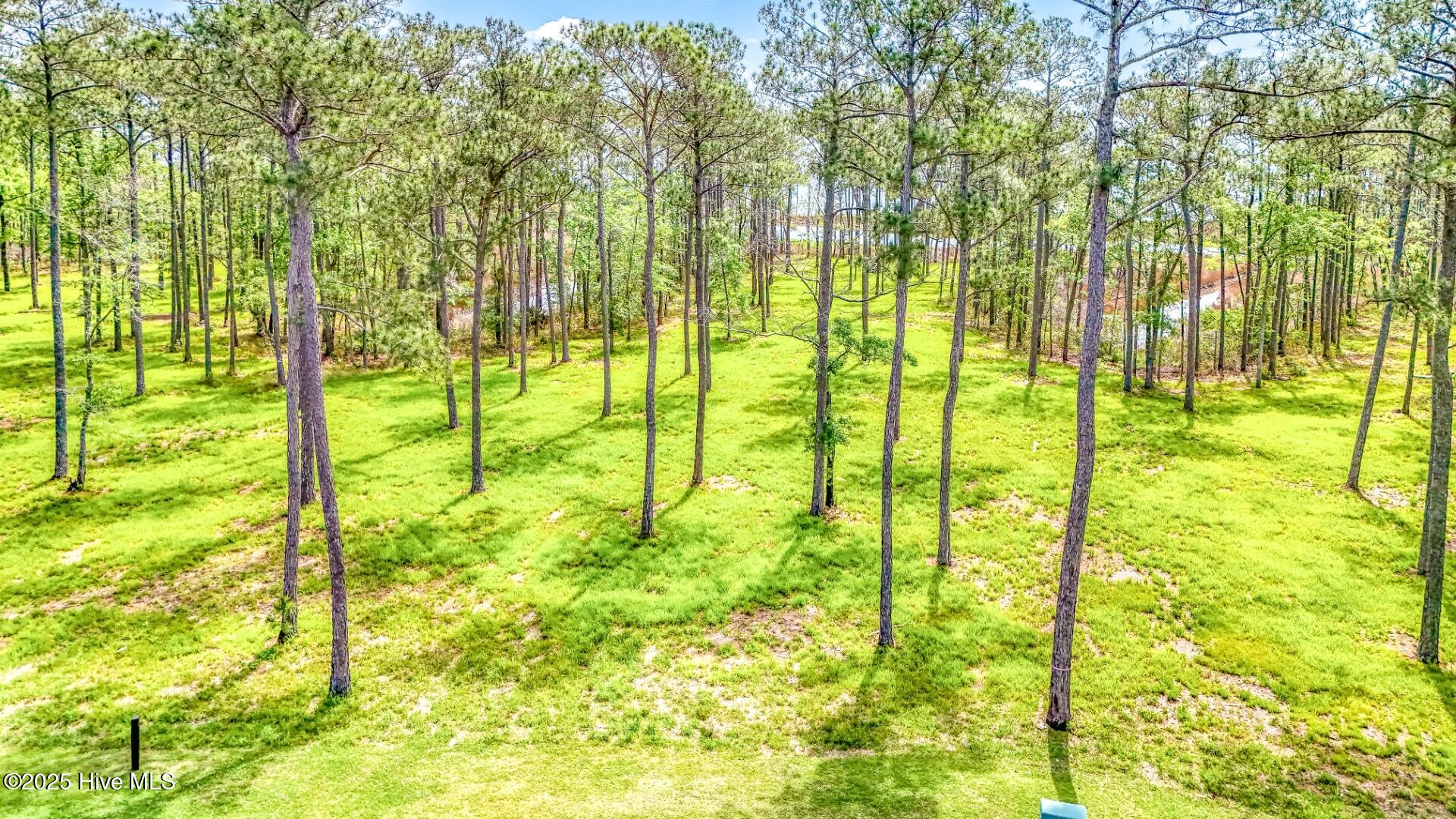 175 River Watch Road Oriental, NC 28571 - Photo 18 of 61 175 River Watch Road (21)