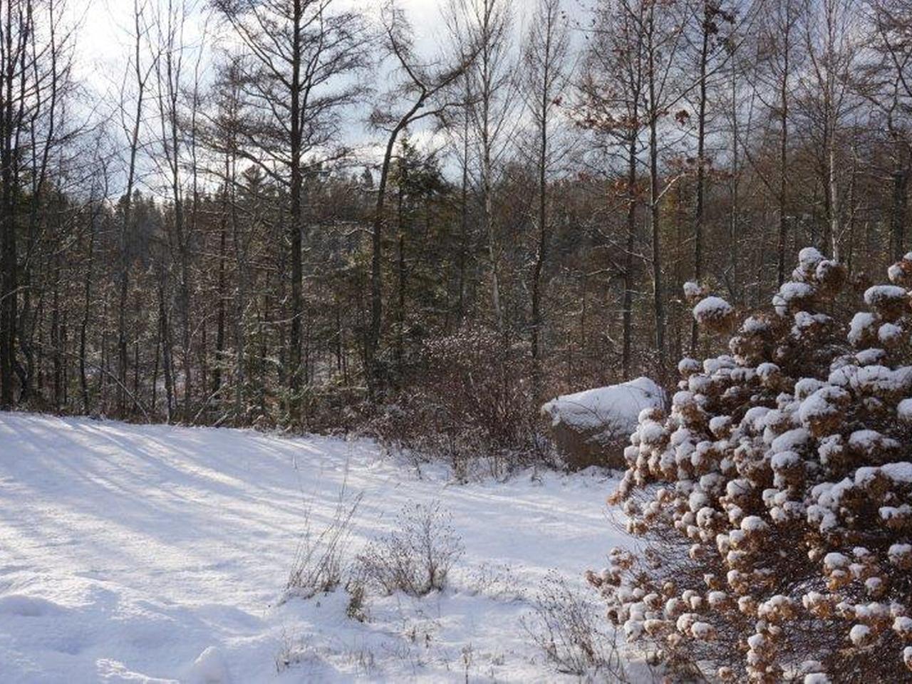 6207 Hwy 17 Rhinelander Wi 54501 Rhinelander, WI 54501 - Photo 17 of 25 Gallery Image 17