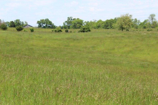 239 East Ralph Parks Road Richmond, KY 40475 - Photo 21 of 45 Photo 21