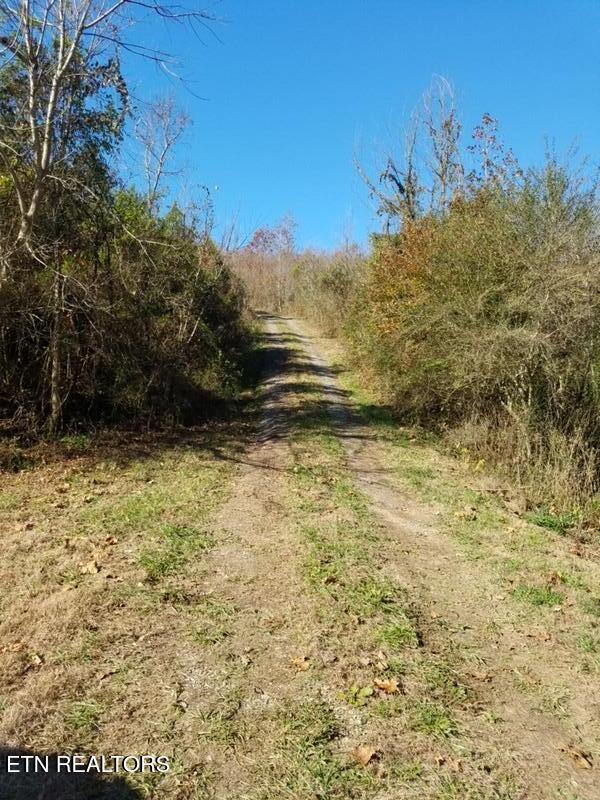 417 Womac Hollow Road Decatur, TN 37322 - Photo 13 of 29 71