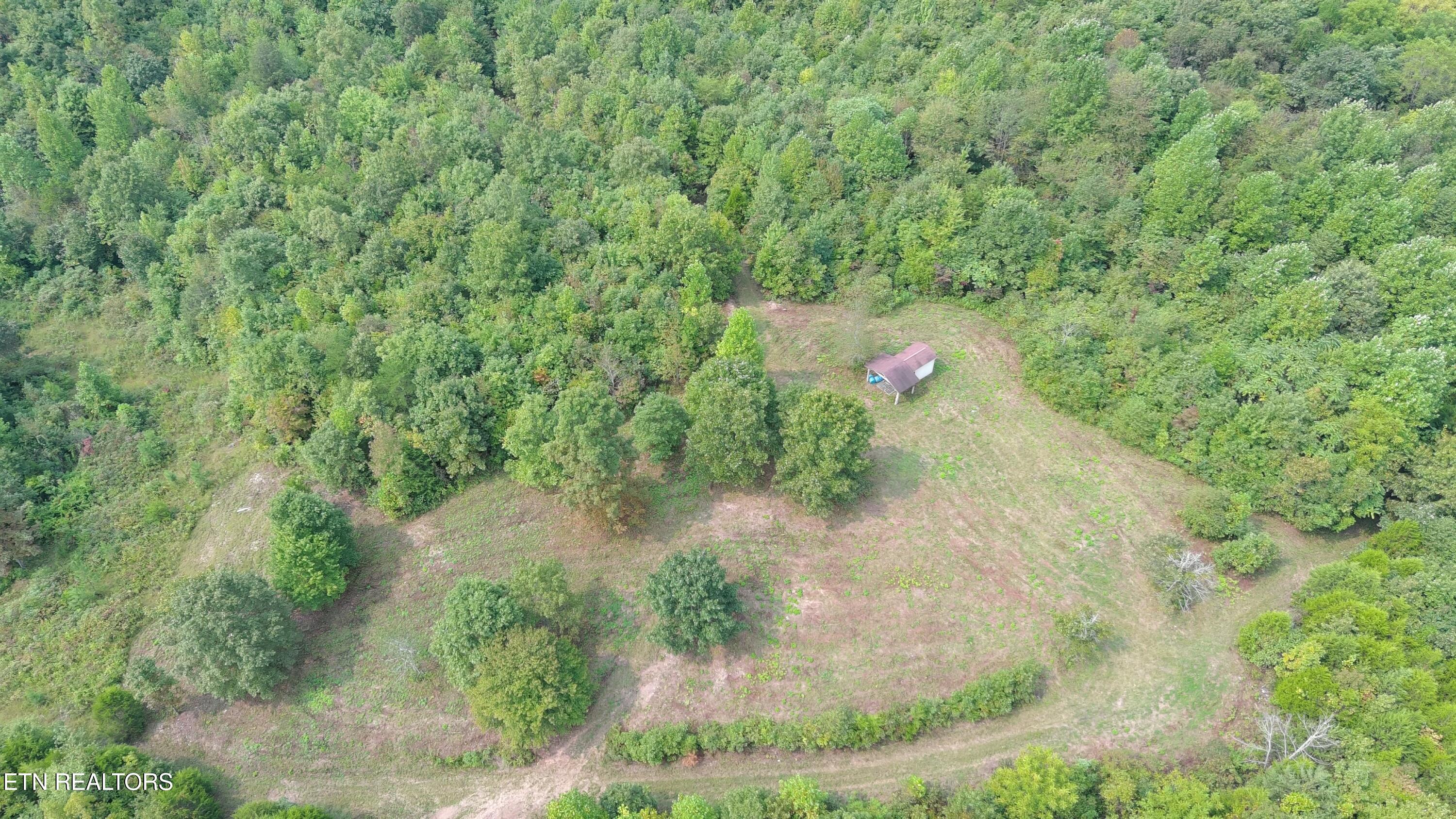417 Womac Hollow Road Decatur, TN 37322 - Photo 14 of 29 MAX_0085