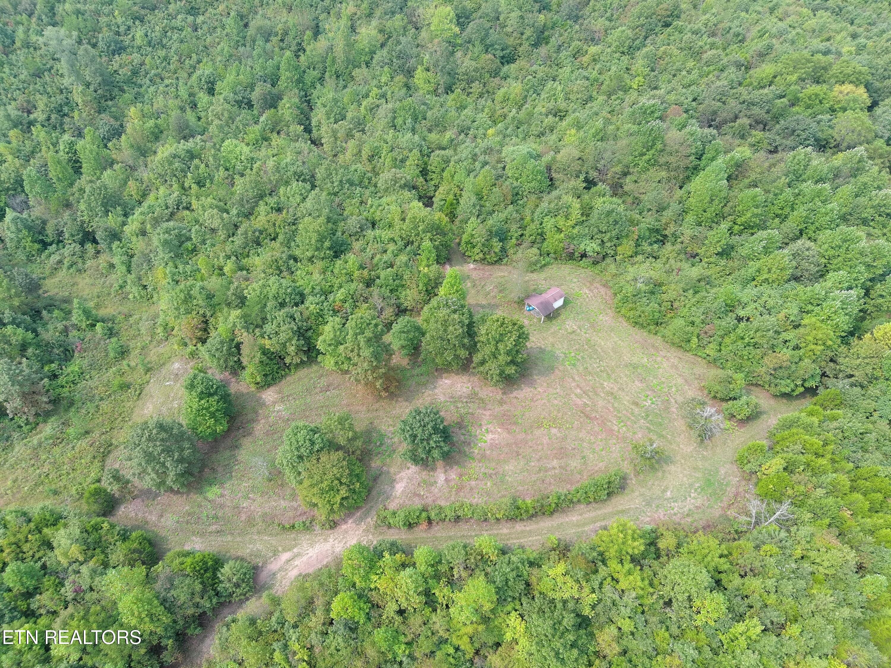 417 Womac Hollow Road Decatur, TN 37322 - Photo 15 of 29 MAX_0086