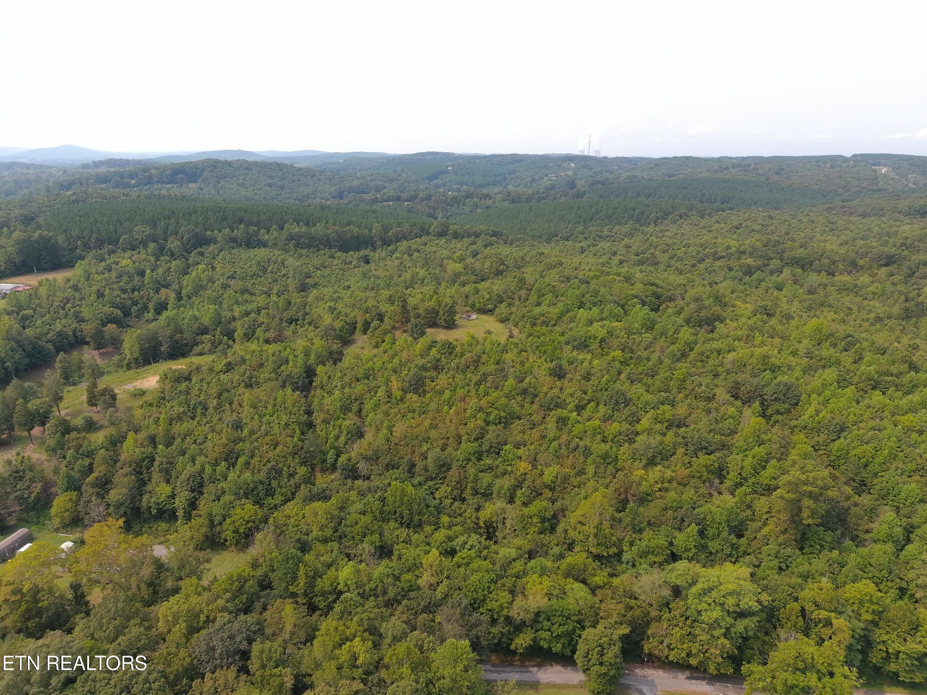 417 Womac Hollow Road Decatur, TN 37322 - Photo 17 of 29 MAX_0090