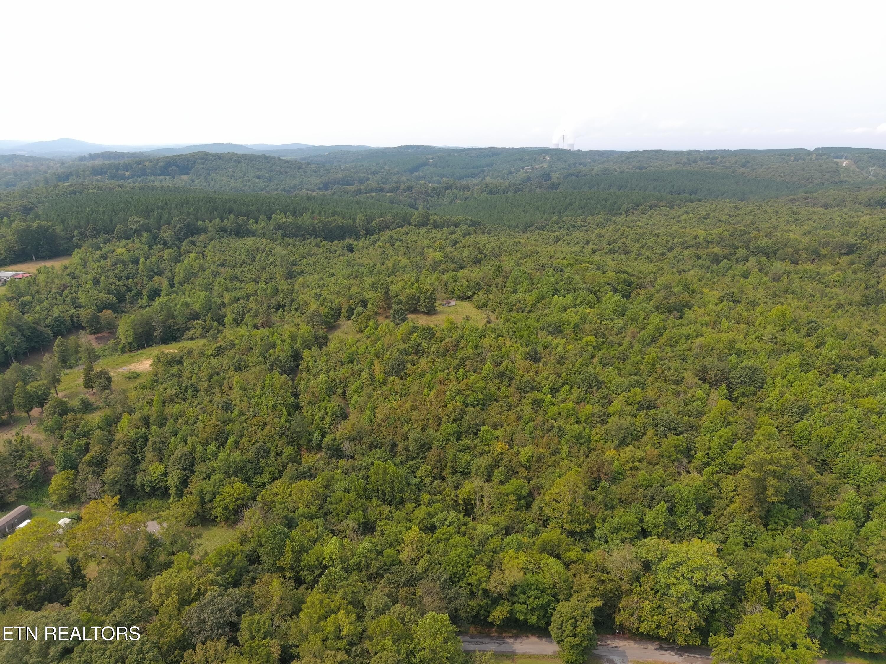 417 Womac Hollow Road Decatur, TN 37322 - Photo 18 of 29 MAX_0091
