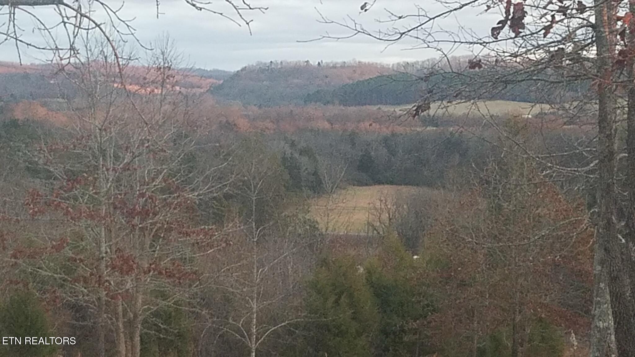 417 Womac Hollow Road Decatur, TN 37322 - Photo 2 of 29 156