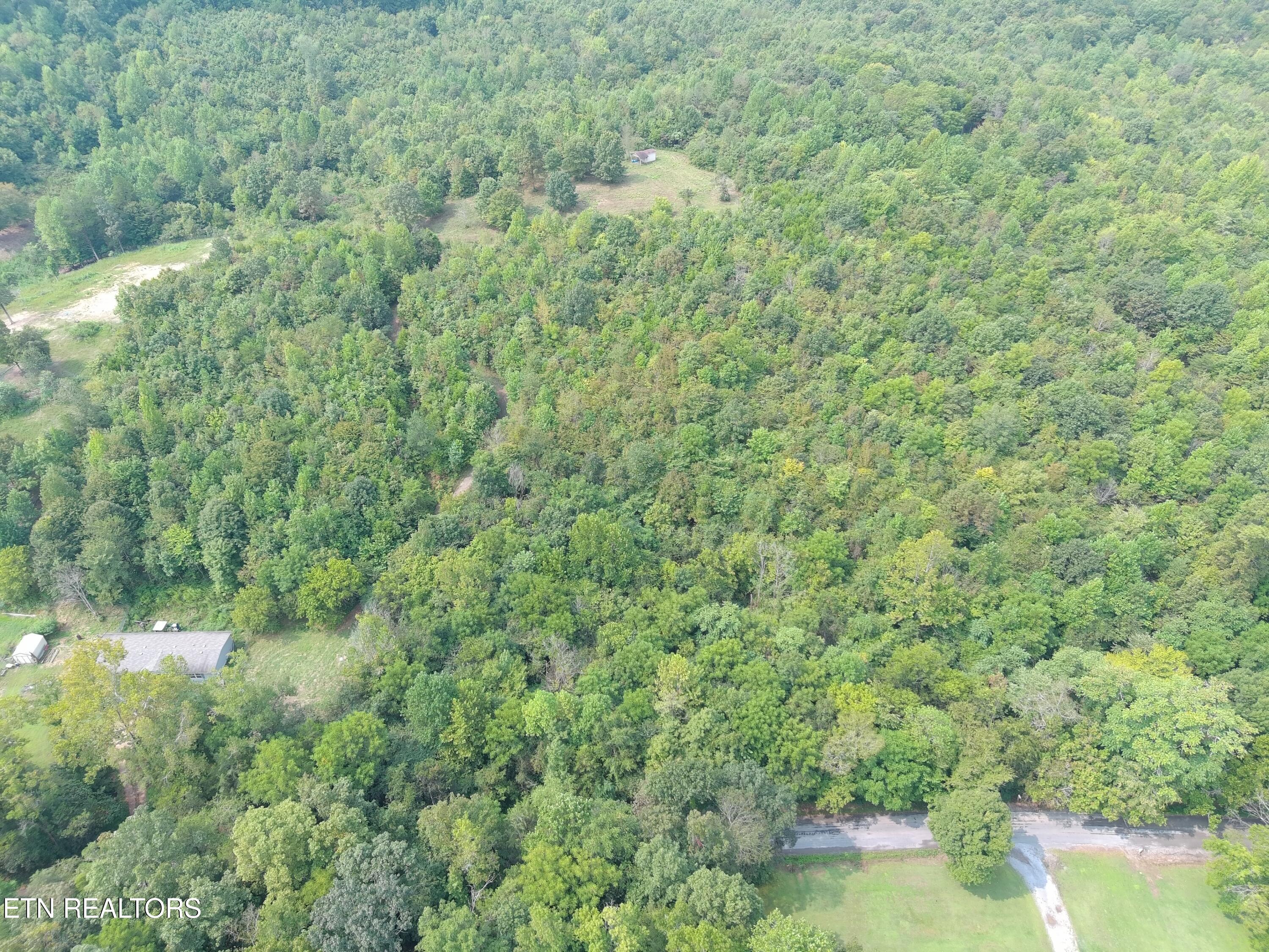 417 Womac Hollow Road Decatur, TN 37322 - Photo 23 of 29 MAX_0100
