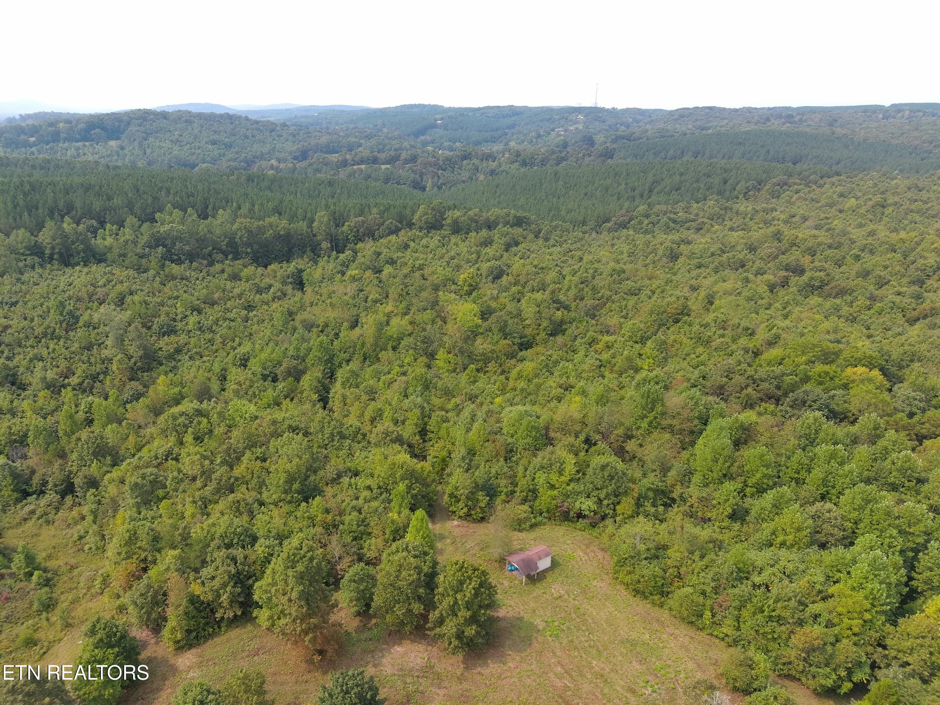 417 Womac Hollow Road Decatur, TN 37322 - Photo 27 of 29 MAX_0105
