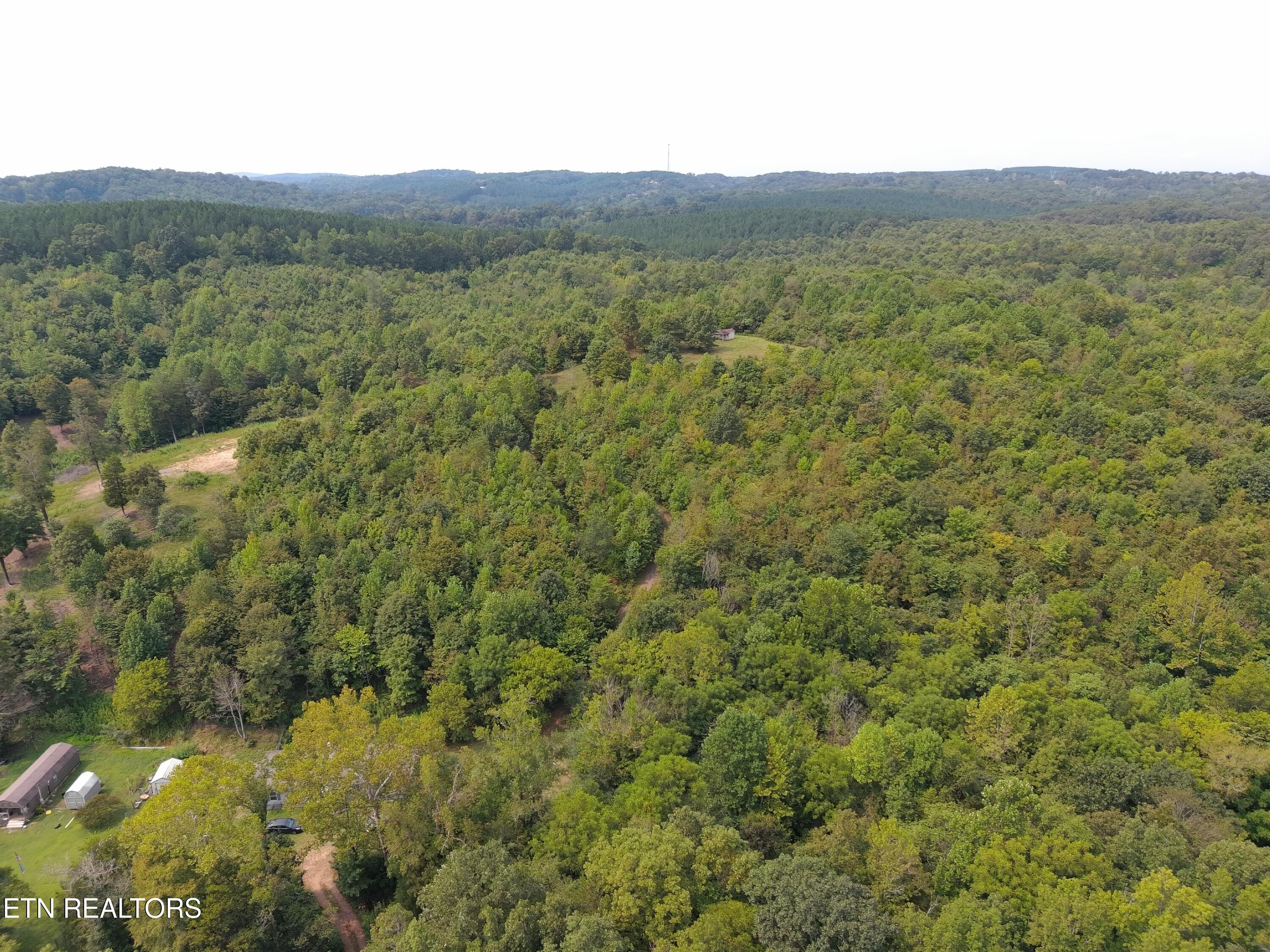 417 Womac Hollow Road Decatur, TN 37322 - Photo 28 of 29 MAX_0109