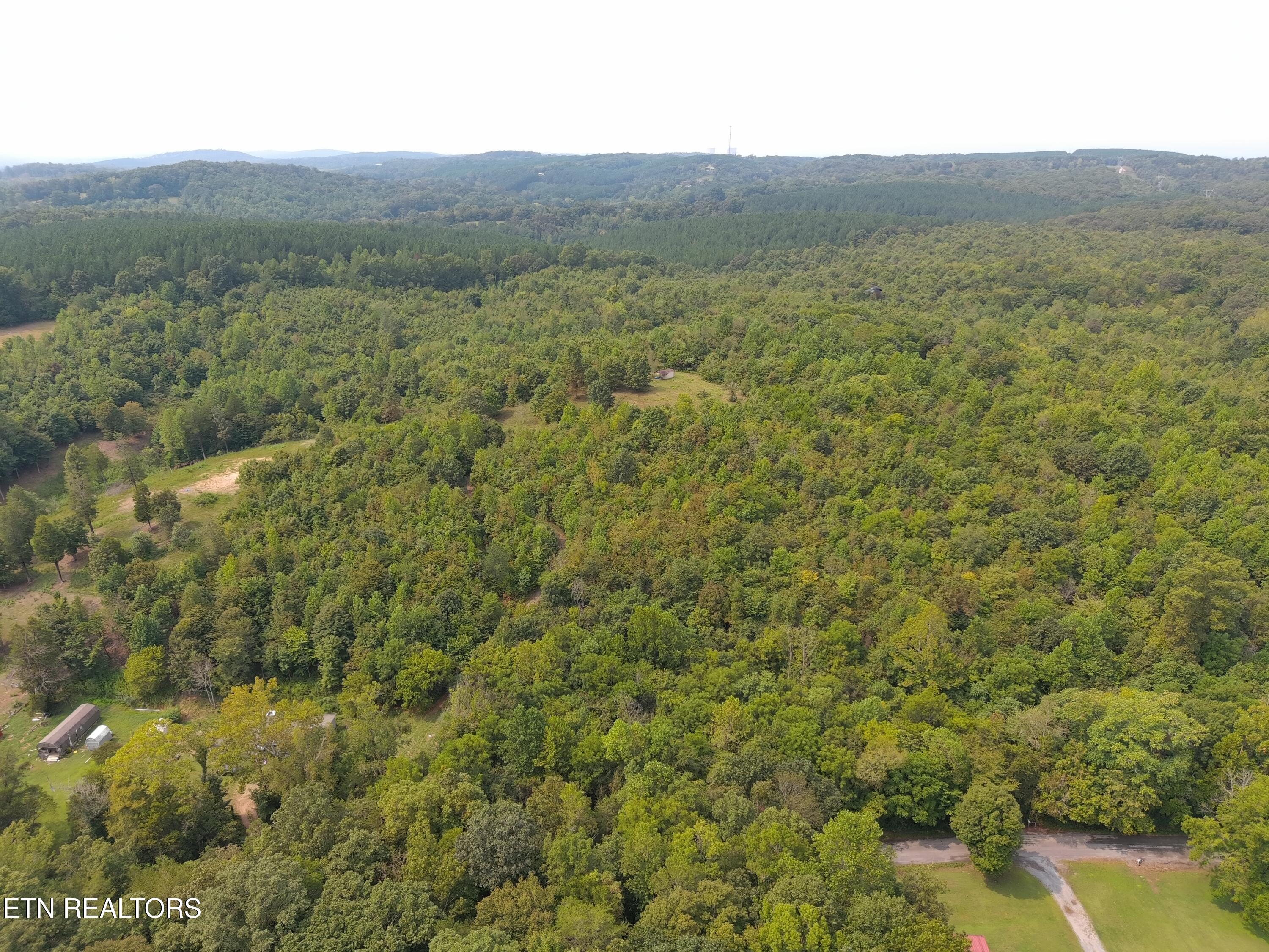 417 Womac Hollow Road Decatur, TN 37322 - Photo 3 of 29 MAX_0115