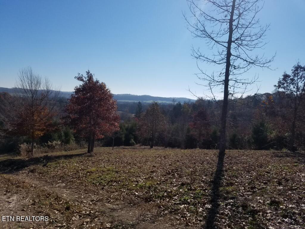 417 Womac Hollow Road Decatur, TN 37322 - Photo 4 of 29 78