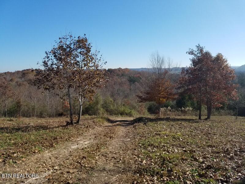 417 Womac Hollow Road Decatur, TN 37322 - Photo 5 of 29 76