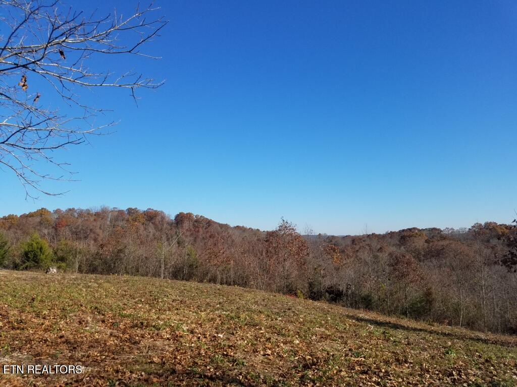 417 Womac Hollow Road Decatur, TN 37322 - Photo 6 of 29 75
