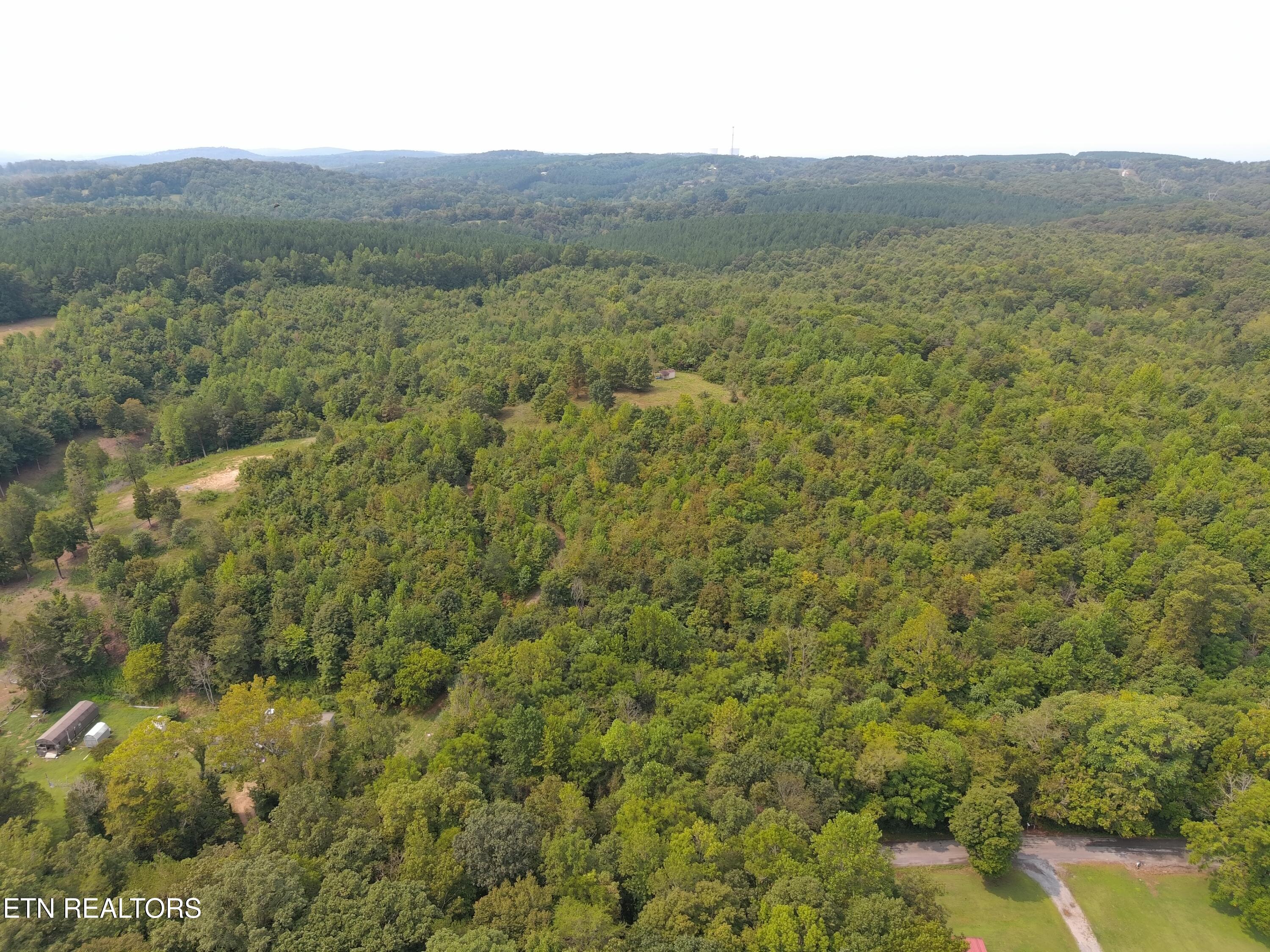 417 Womac Hollow Road Decatur, TN 37322 - Photo 7 of 29 MAX_0114