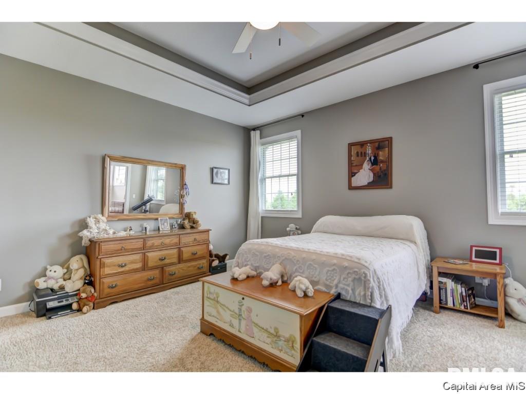 985 Fraase Road New Berlin, IL 62670 - Photo 14 of 30 Gallery Image 14