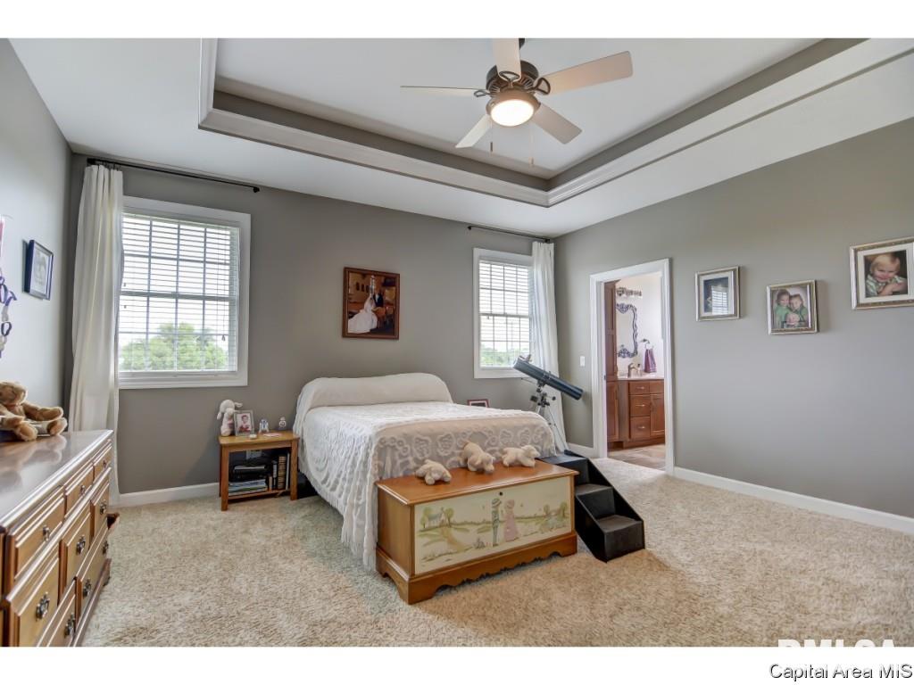 985 Fraase Road New Berlin, IL 62670 - Photo 15 of 30 Gallery Image 15