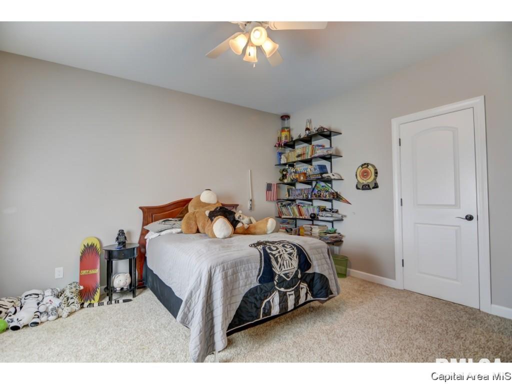 985 Fraase Road New Berlin, IL 62670 - Photo 22 of 30 Gallery Image 22