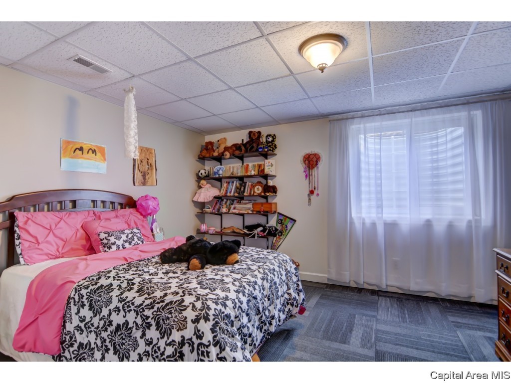 985 Fraase Road New Berlin, IL 62670 - Photo 24 of 30 Gallery Image 24