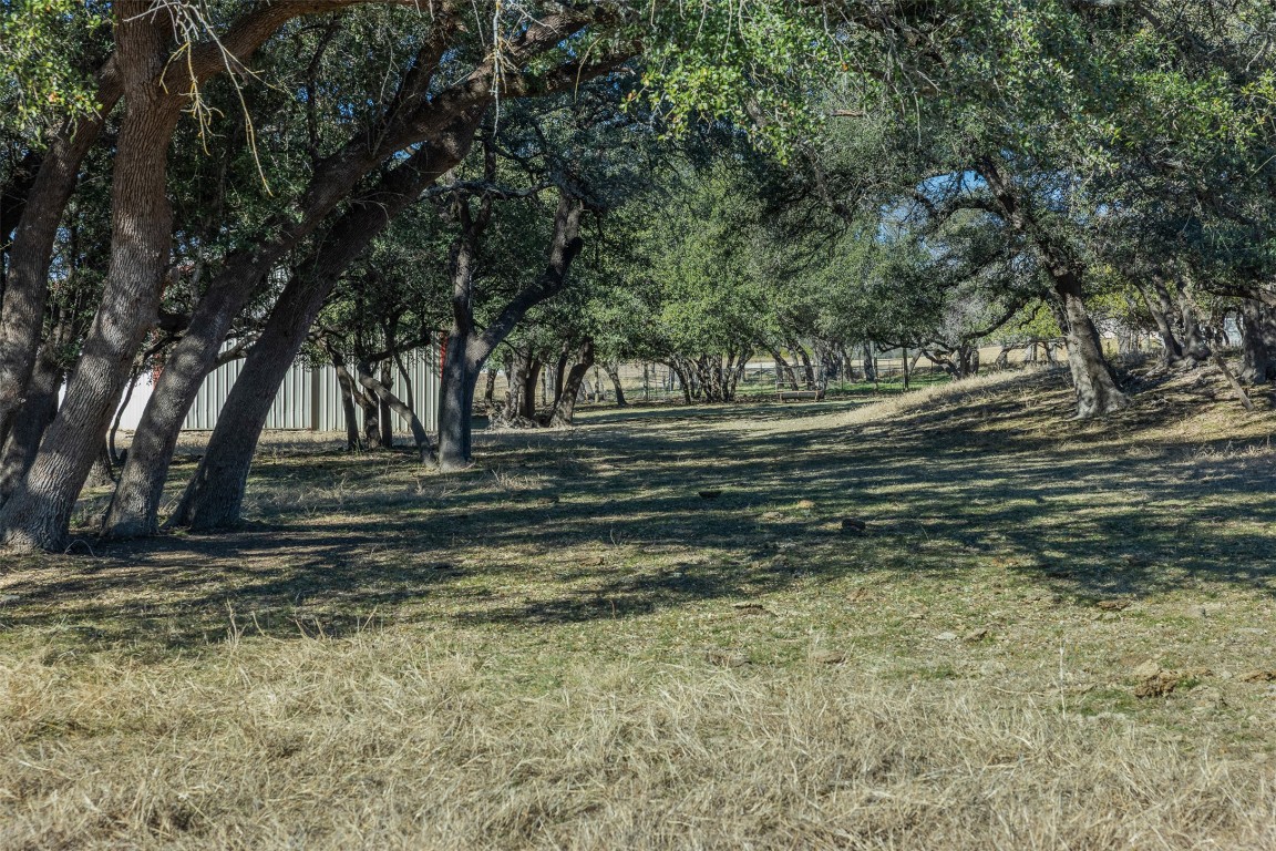 197 Live Oak Cemetery Road Killeen, TX 76542 - Photo 14 of 36 View of green lawn